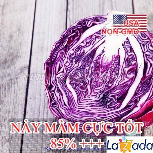 [HCM]BỘ 5GÓI 1Gr Hạt Giống Bắp Cải Tím Red (A5.204| C46*W51)