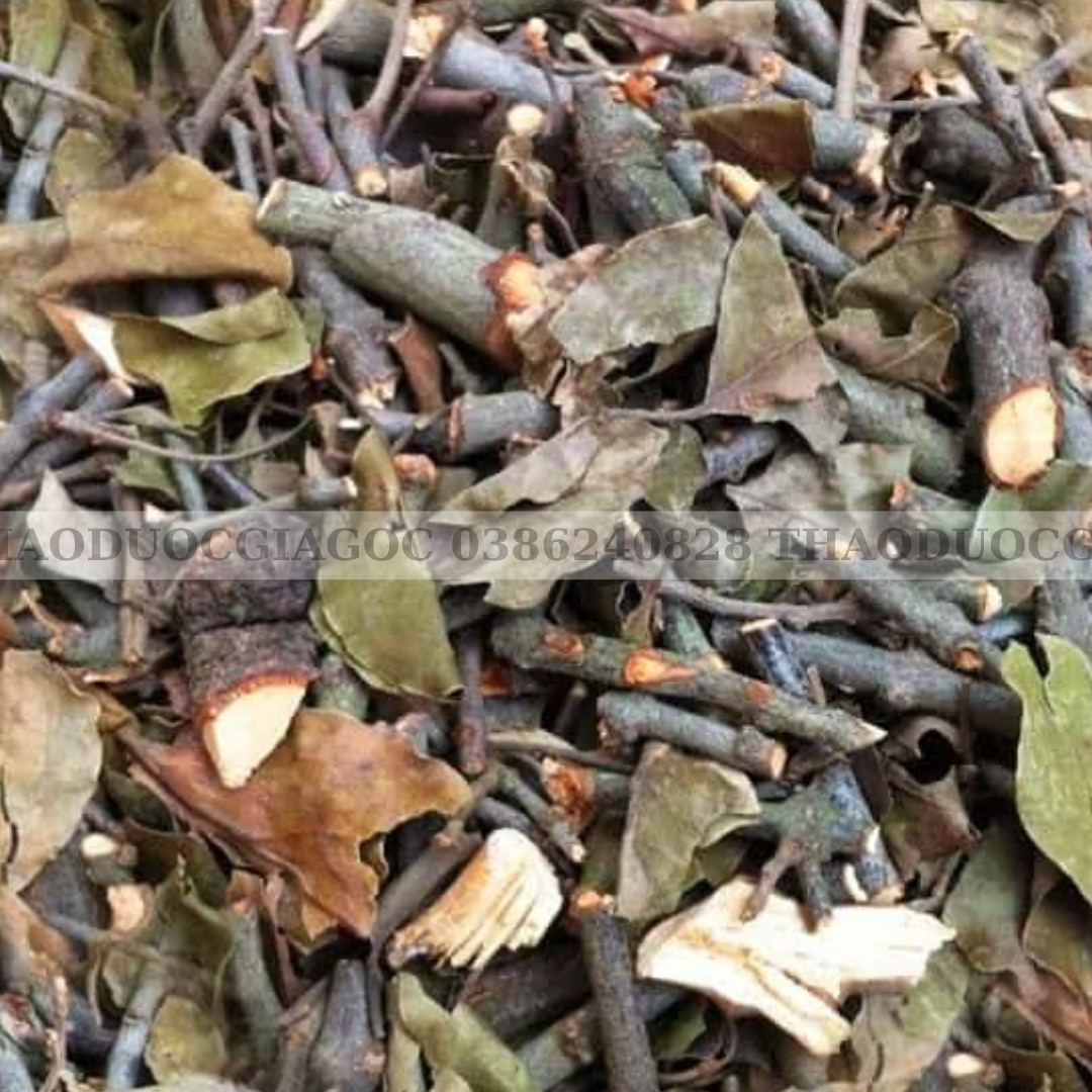 1kg cây tầm gửi gạo hà giang(khô thơm sạch)
