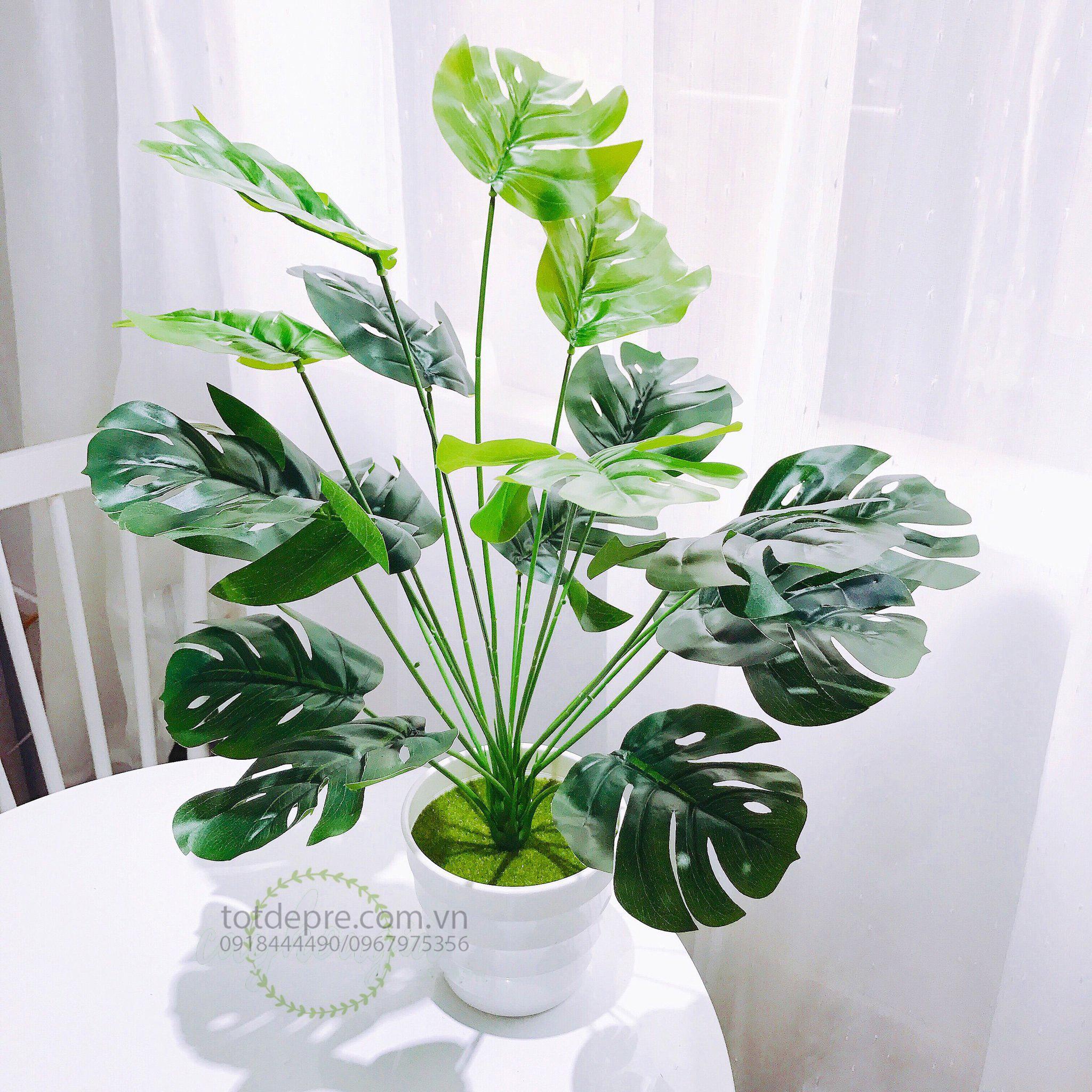 Cây Lá Rùa DECOR cỡ lớn - Cây giả cao cấp