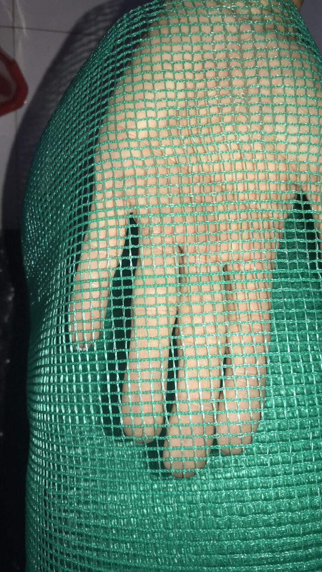 Lưới cước xanh, lưới rọ xanh - mắt lưới 3li - 4li - khổ cao 1 met