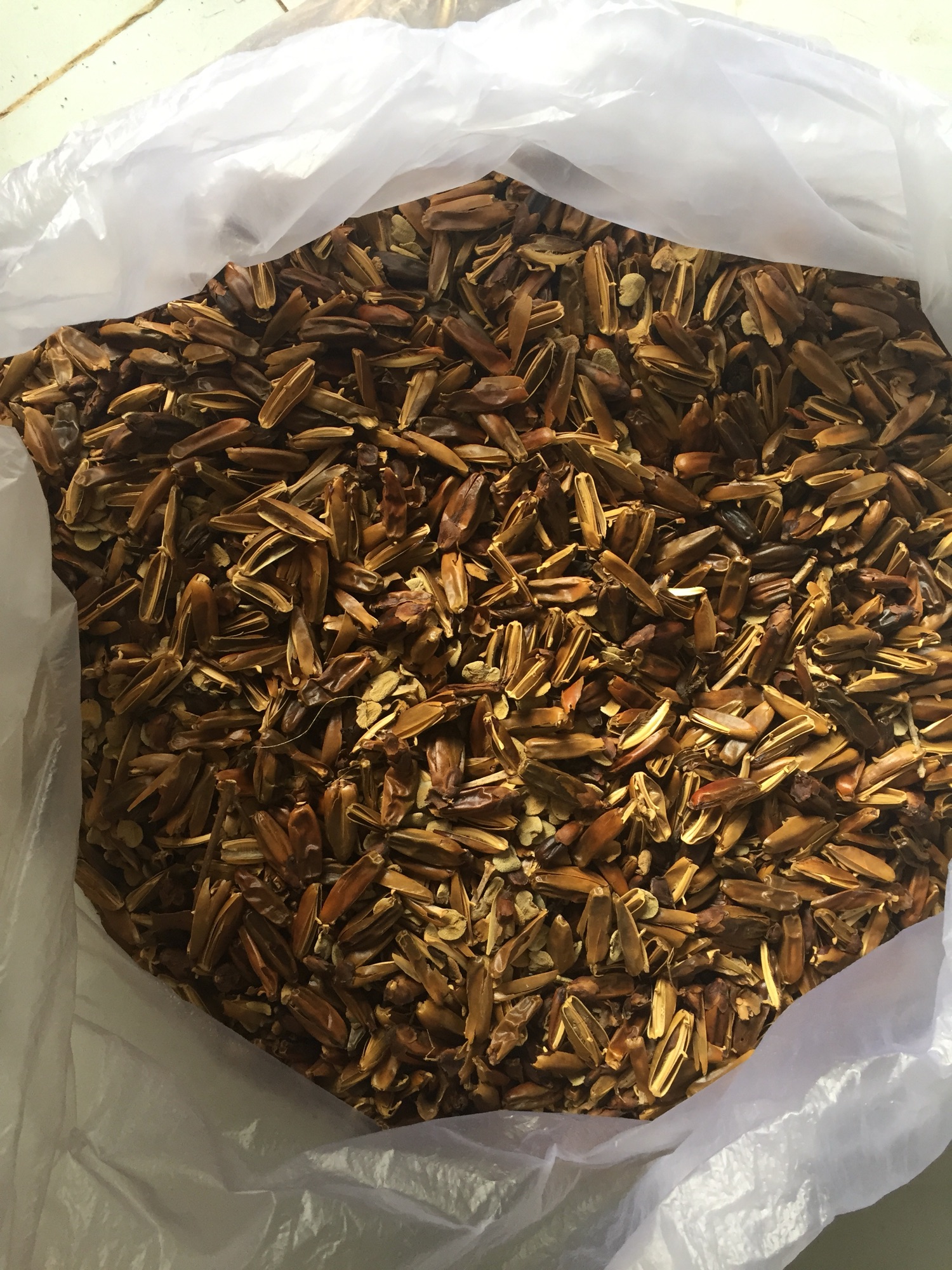 Trái ô rô phơi khô 1 ký - chỉ toàn trái