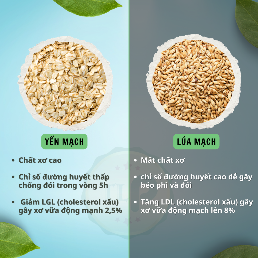Yến Mạch Cán Vỡ Tân Lộc Phát Bịch 500g