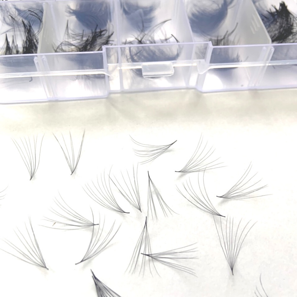 Mi FAN 8D C - D 005 MIX SIZE (9->13)mm (1000fan)_dụng cụ nối mi_THÚY HÀ