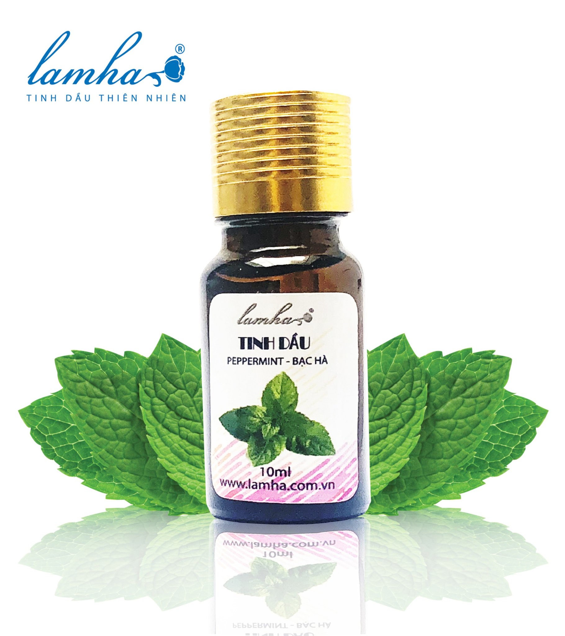 Tinh dầu Bạc Hà 10ml Lam Hà