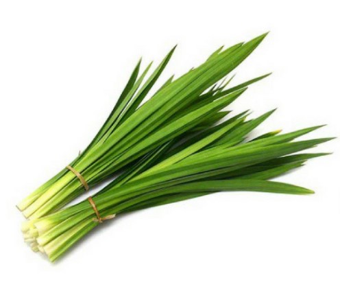 Hương lá dứa Thái Lan lọ 30ml