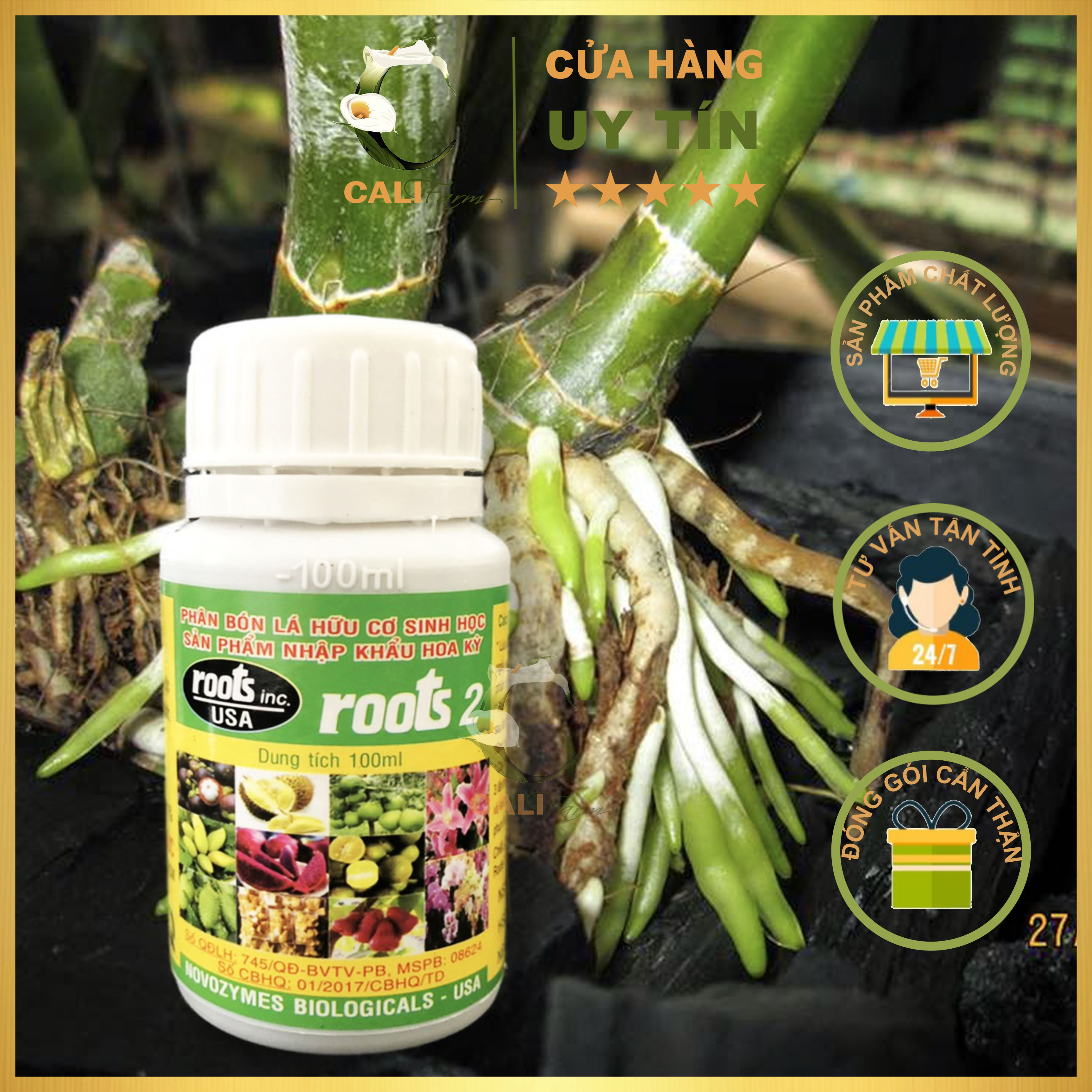 Phân bón lá cao cấp Roots 2 100ml