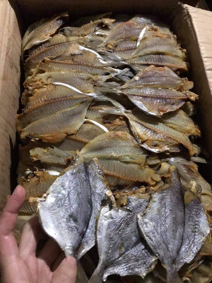 1kg cá sứa (cá hạt bí) khô thịt béo, thơm