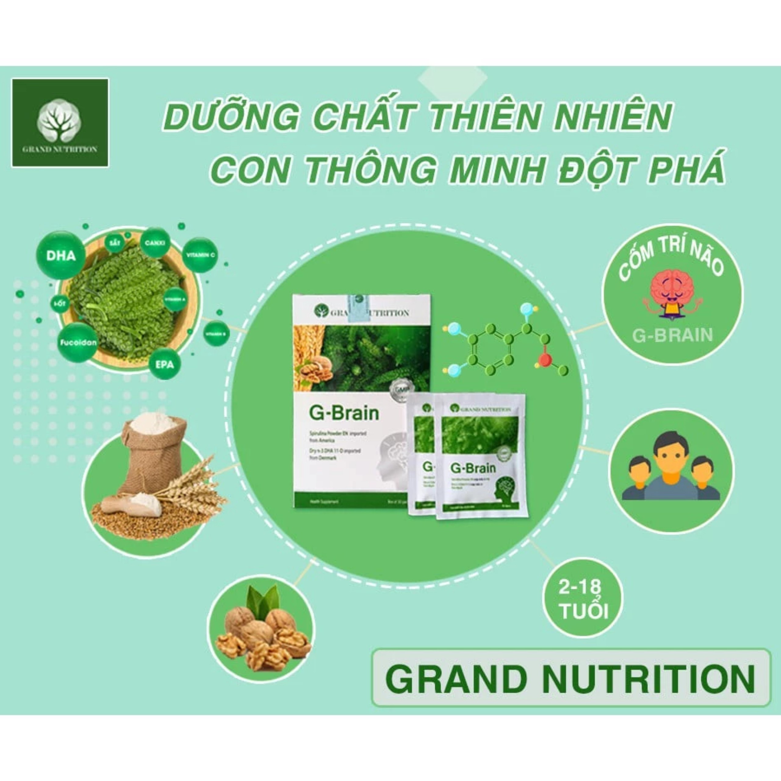 [GIÁ SỈ] CỐM TRÍ NÃO G BRAIN (CỐM TĂNG TRƯỞNG TRÍ NÃO GBRAIN) G-Brain (HỘP 30 GÓI)- SHOP BÉ SỮA