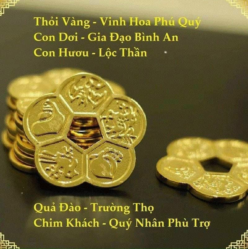 Hộp Hoa mai Kim tiền (làm quà tặng ý nghĩa)