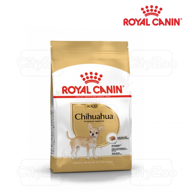 Feed dog Royal Canin Chihuahua