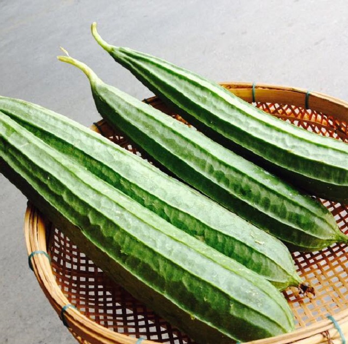 [Seeds] Hạt giống mướp khía Rado, đóng gói 1gr (khoảng 10 hạt)