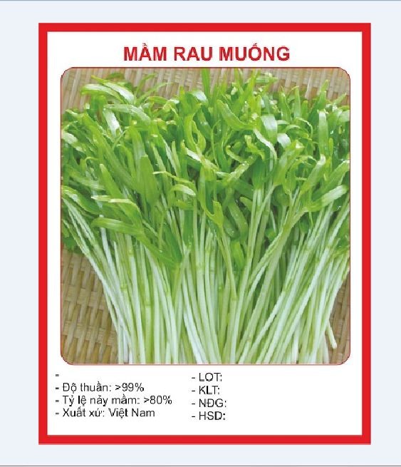 Hạt Giống Rau Mầm Rau Muống - gói 50 gram