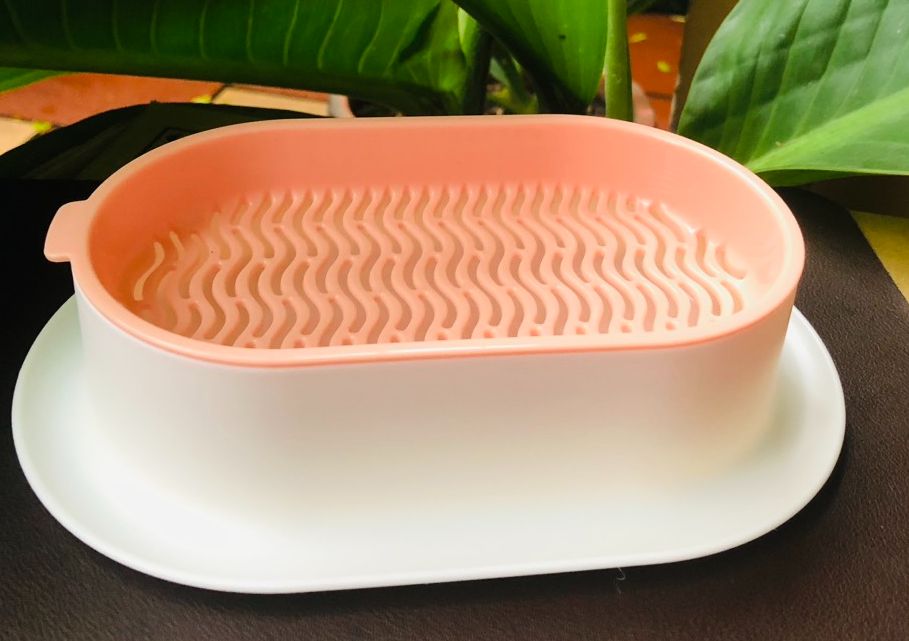 Khay trồng cỏ mèo thủy sinh