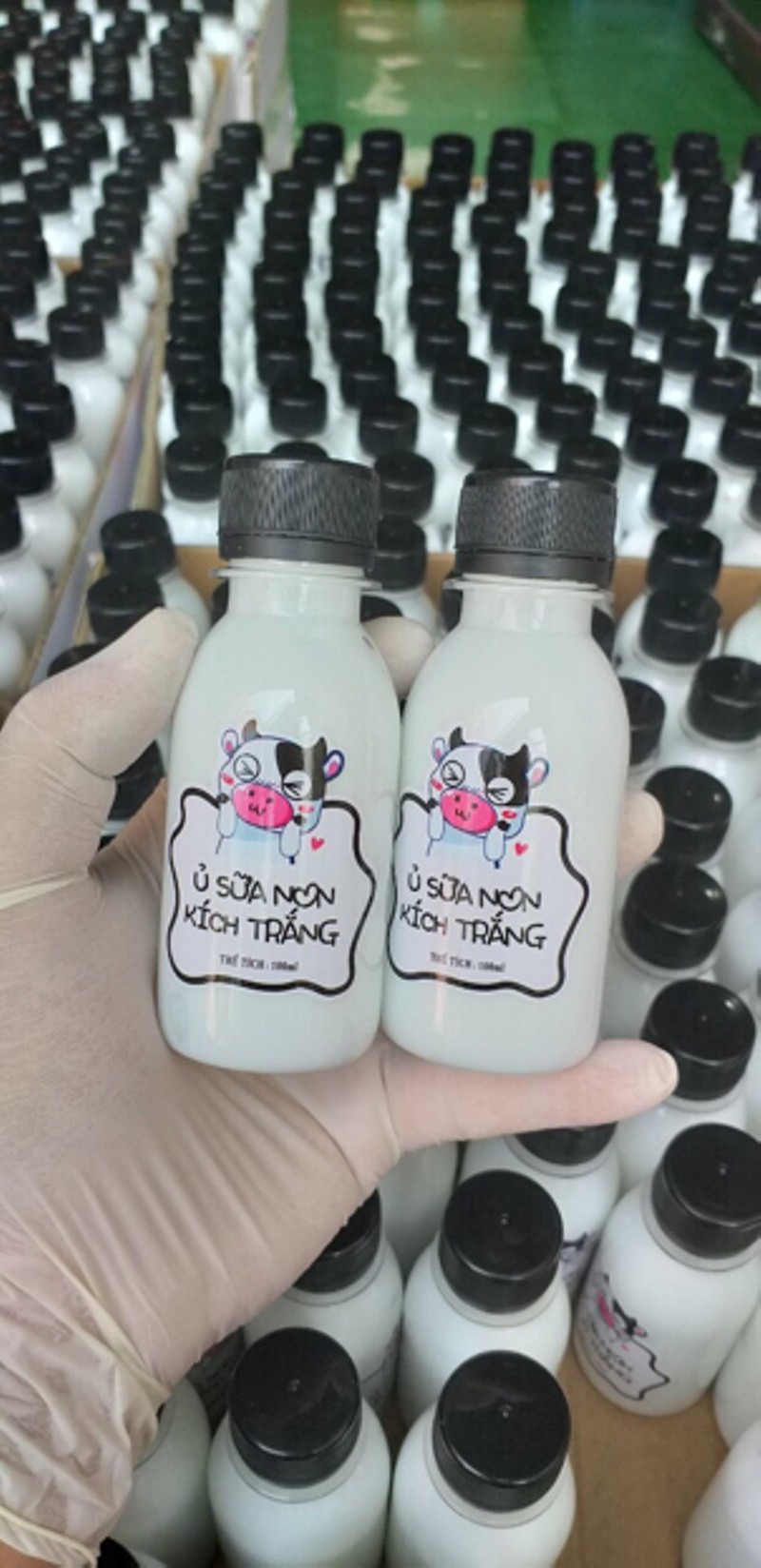 𝐔̉ 𝐒𝐔̛̃𝐀 𝐍𝐎𝐍 kích trắng con dê