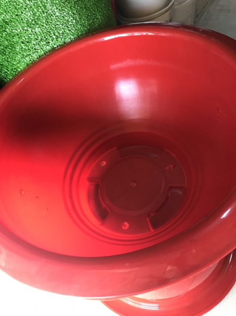 Chậu Nhựa Trồng Cây Đỏ Bóng