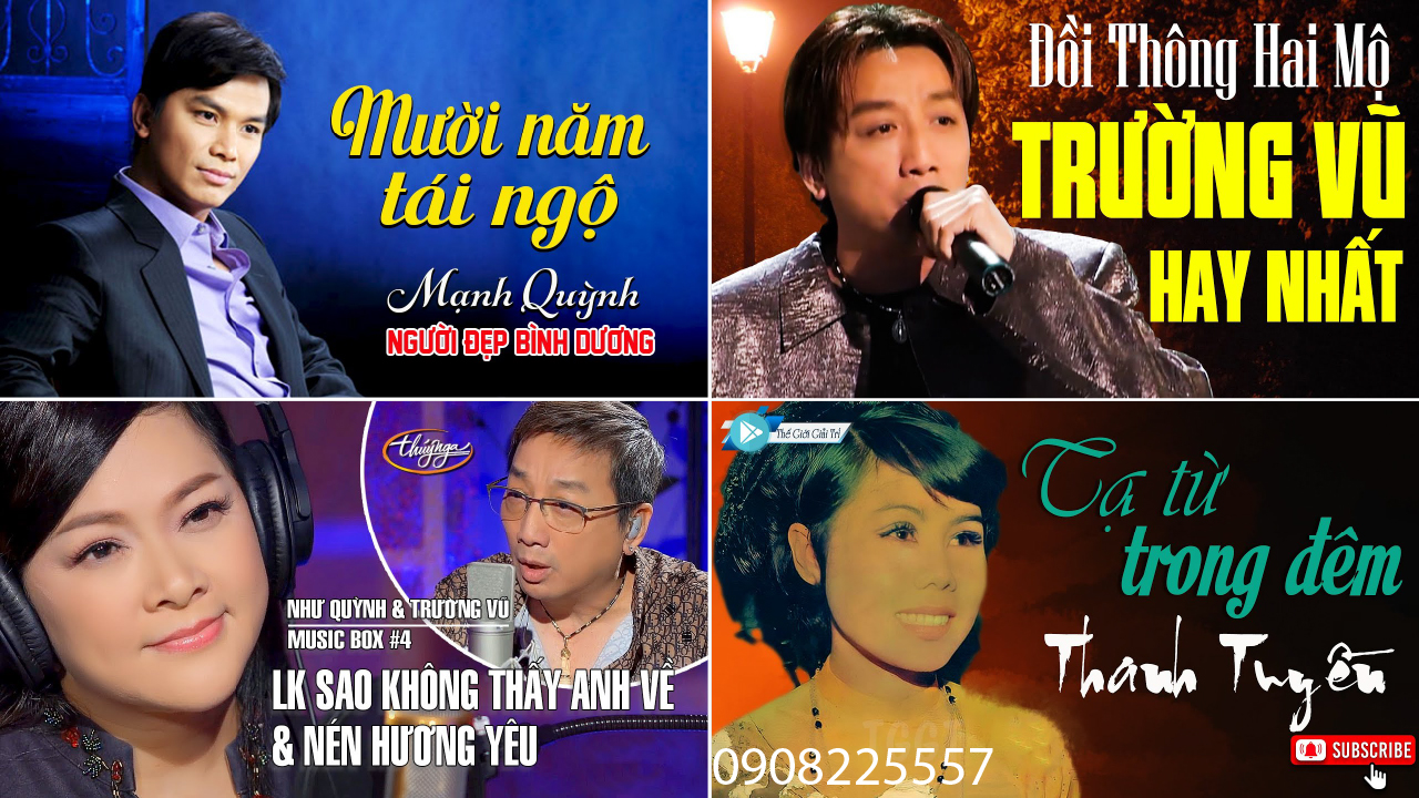[DVD-VIDEO-PBN-4] THUÝ NGA LIÊN KHÚC QUA CƠN MÊ 42 BÀI HÁT (có Hình Video)