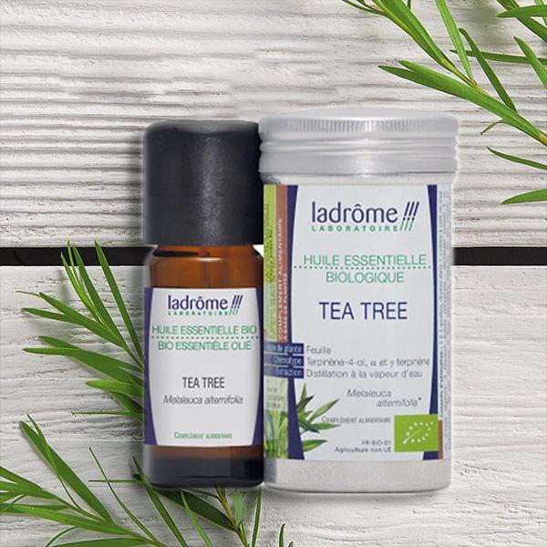 Tinh dầu Tràm Trà hữu cơ - Tea Tree Organic Essential Oil 10ml