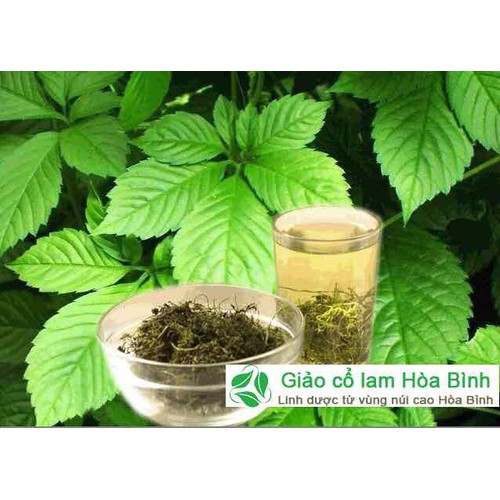 Trà Giảo cổ lam Sa Pa (loại 5 lá sao khô) gói 1kg