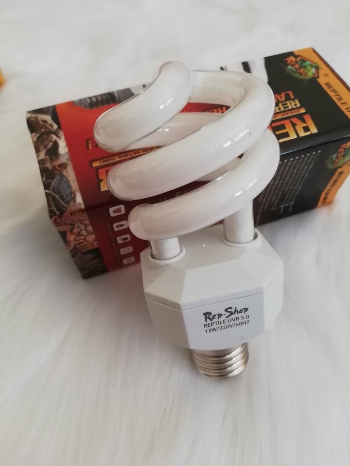 [HCM]Đèn UVB 5.0 cho bò sát