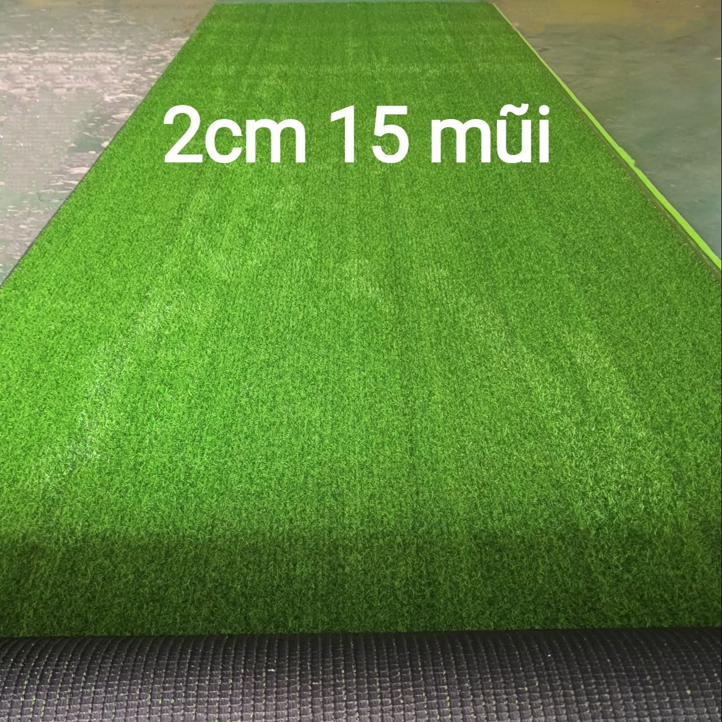 Thảm cỏ nhân tạo 2cm loại tốt (2cm 15 mũi, quý khách đọc kỹ mô tả)