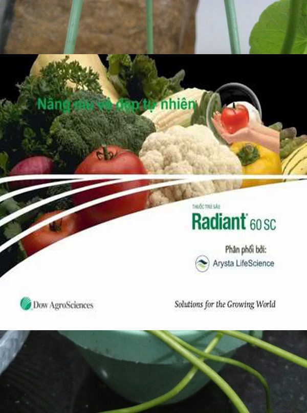 THUỐC TRỪ BỌ TRĨ SÂU TƠ RADIANT(TRÁI CÀ)
