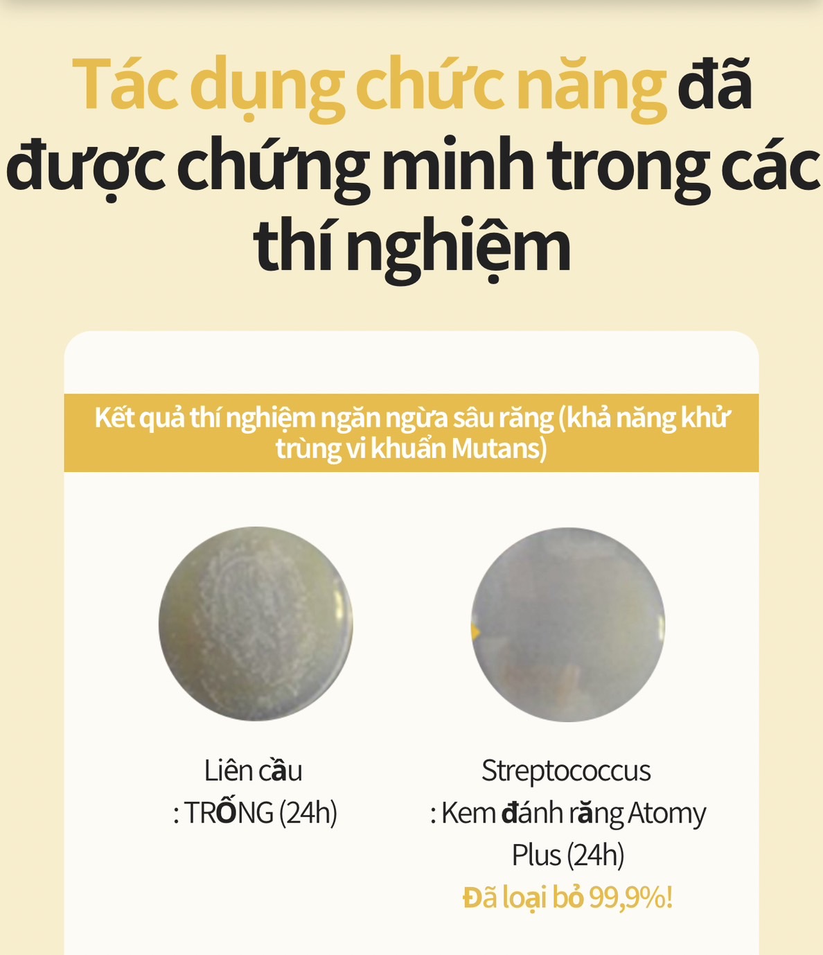 Kem đánh răng sạch khuẩn và ngừa sâu răng vượt trội chiết xuất từ keo ong - Atomy Propolis toothpaste 200gram - 애터미 치약 플러스 200g - Атоми Зубная Паста Набор