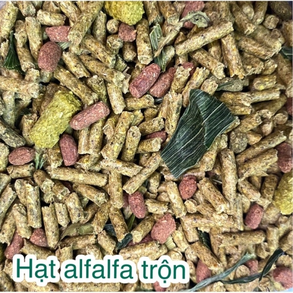 【HOT SALE】 Thức ăn trộn alfalfa dưới 6 tháng cho thỏ chuột lang (bọ ú)