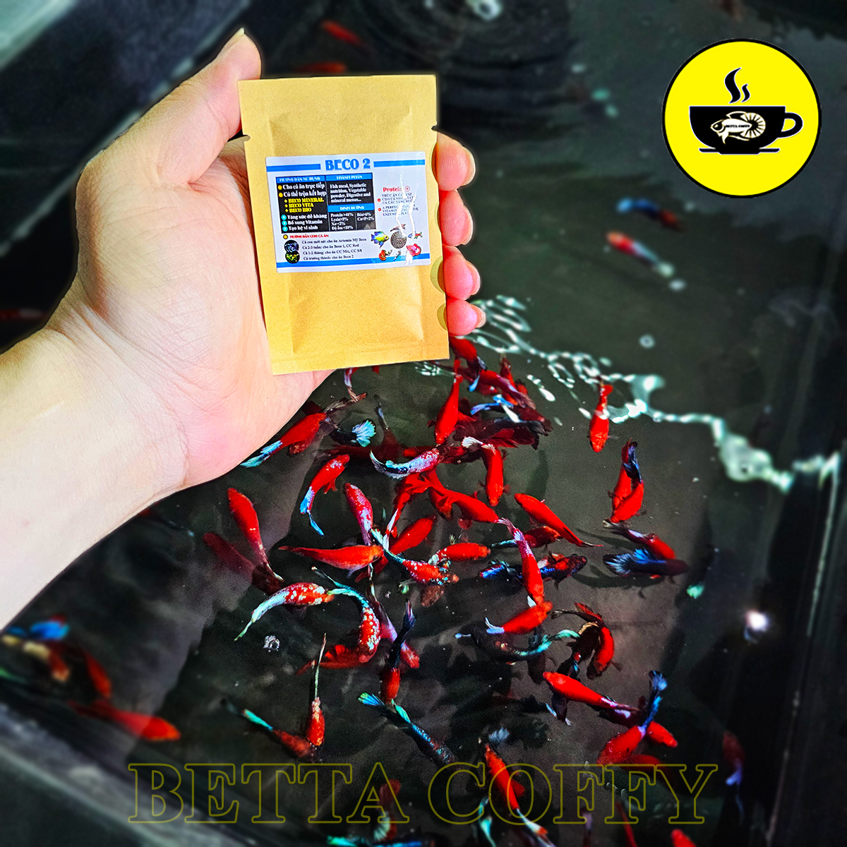 [Hoàn Tiền 15%] Cám BECO 1 2 - Thức ăn cho cá lớn 🐠 BETTA COFFY