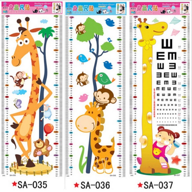 Decal dán tường đo chiều cao và đo thị lực cho bé ankids