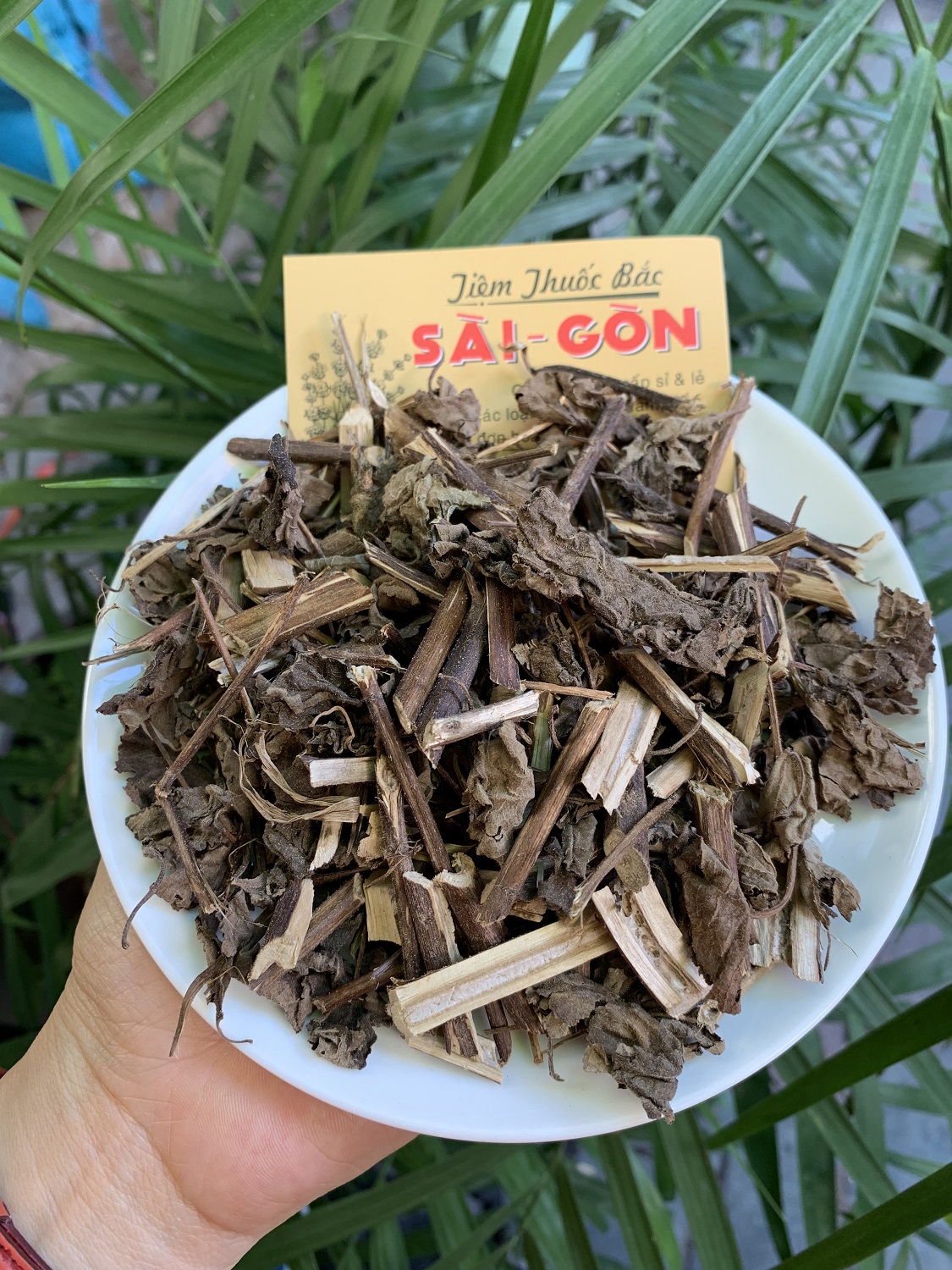 Cây Hương Nhu Khô 500g