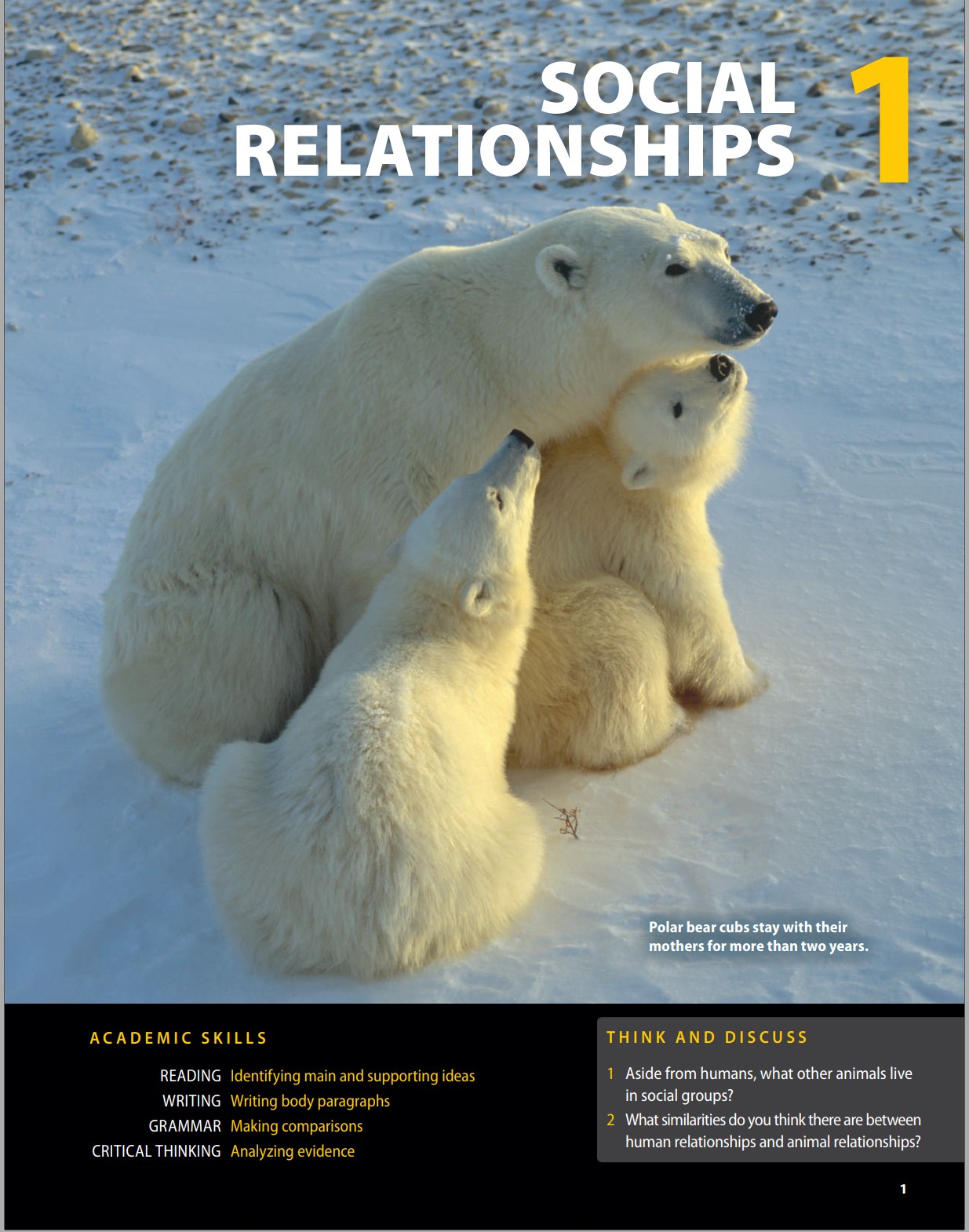 Sách Pathways: Reading, Writing, and Critical Thinking 3, 2nd Student Edition