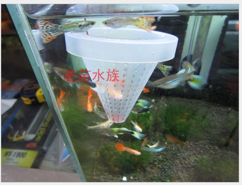 Phễu đựng giun đỏ, trùn chỉ cho cá ăn
