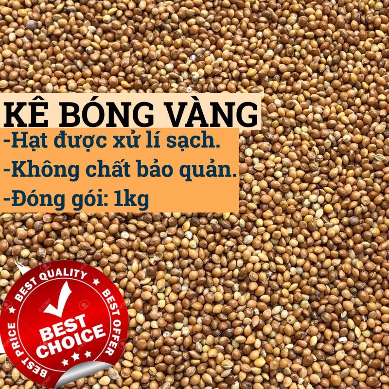 1KG HẠT KÊ BÓNG VÀNG
