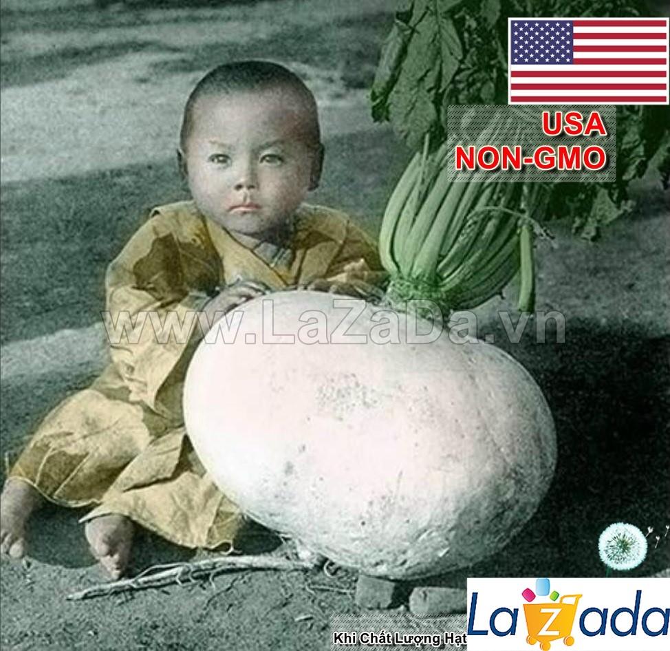 1gram 80.hat hạt giống củ cải khổng lồ nhật samurai