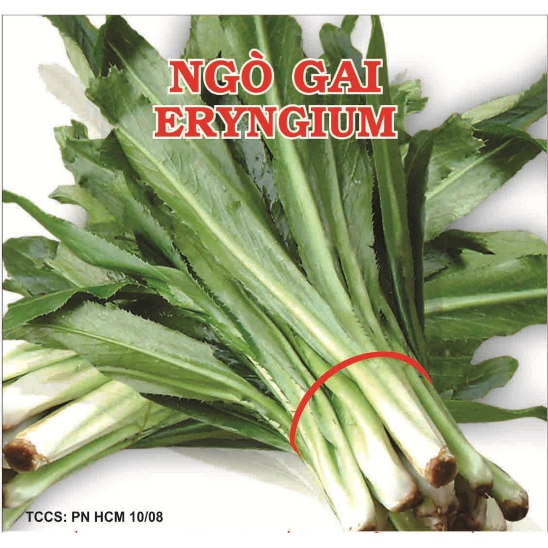 Hạt giống ngò gai PN - 5g