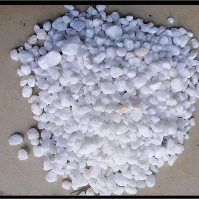 [HCM]Sỏi trắng trang trí chậu cây 500g