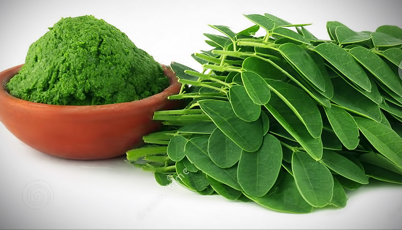 CÂY GIỐNG CHÙM NGÂY