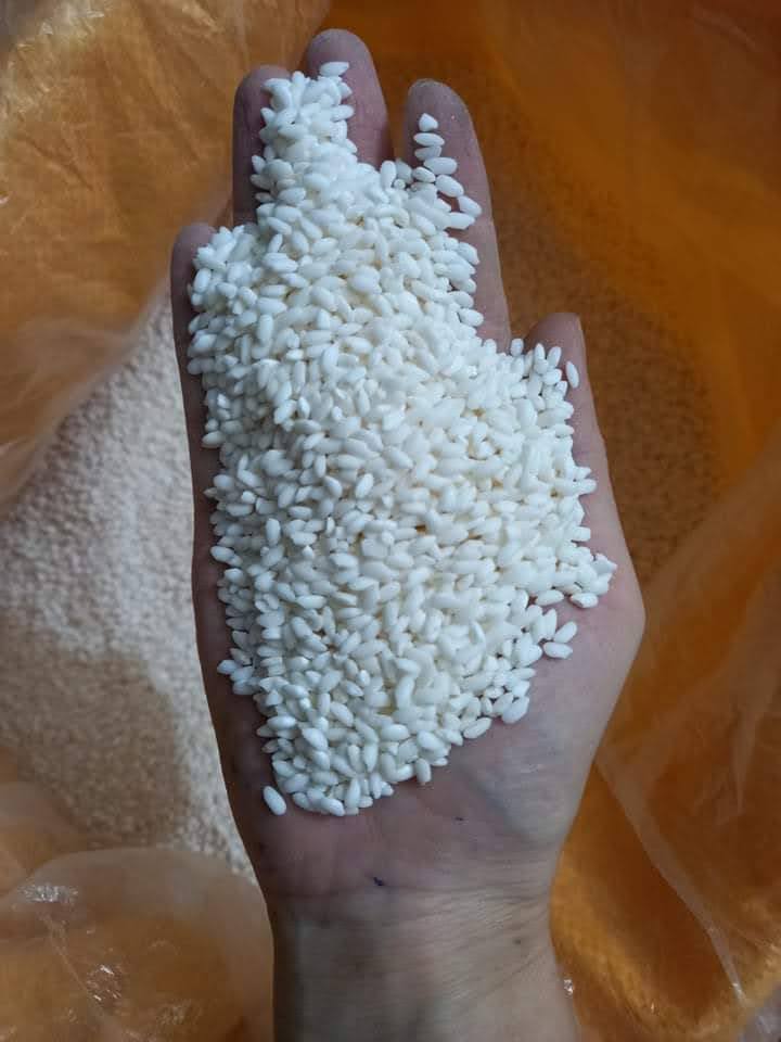 Nếp sáp ngỗng thơm dẻo