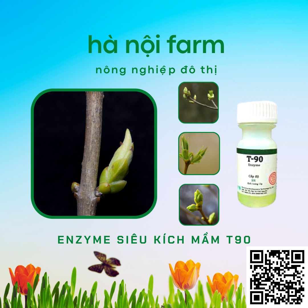Kích mầm T90 chính hãng, kích mầm theo ý muốn, bật mầm tua tủa, cam kết hiệu quả 100%