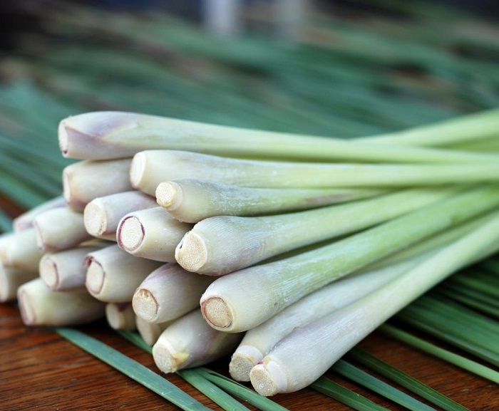 Sả Chanh ( Sả ) Nguyên Bụi Cả rễ [ 1 kg ].