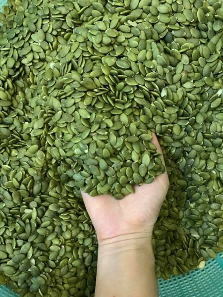 500GR NHÂN HẠT BÍ XANH ẤN ĐỘ