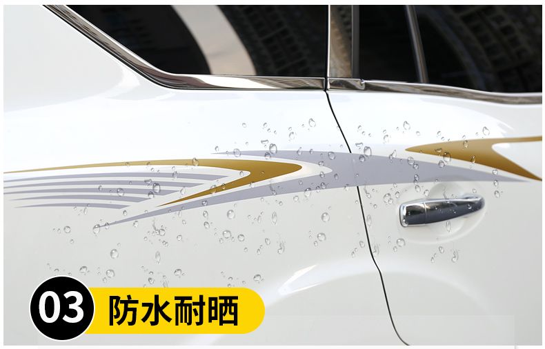 Tem xe Nissan Terra thể thao ms02