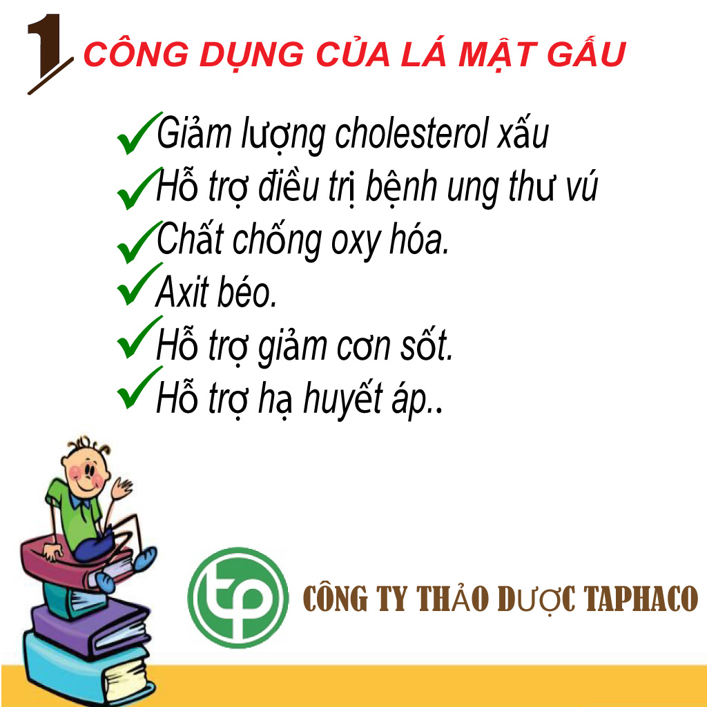 [Hàng sạch thơm cao cấp] Cây mật gấu bắc ( hoàng liên ô rô ) khô 500g