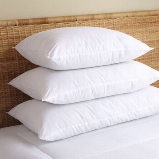 Ruột gối nằm 50x70
