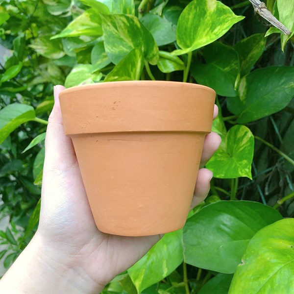 chậu đất nung 9x8cm