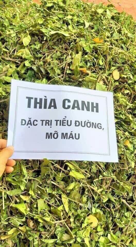 2kg thìa canh khô