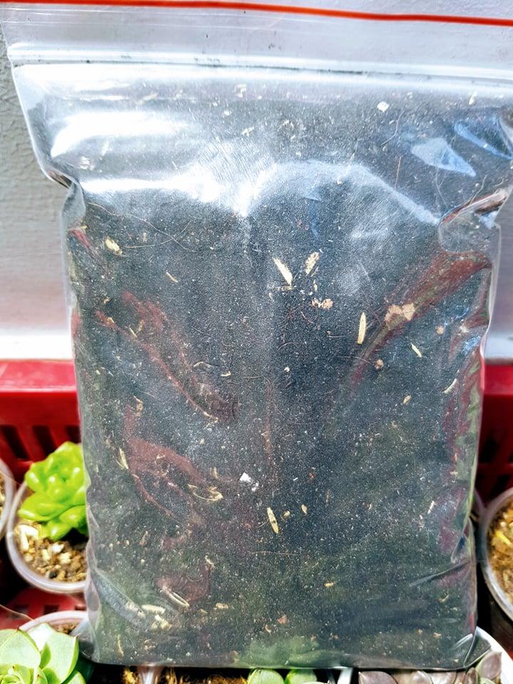 Đất Trồng Dâu Tây Pha Sẵn 500gram