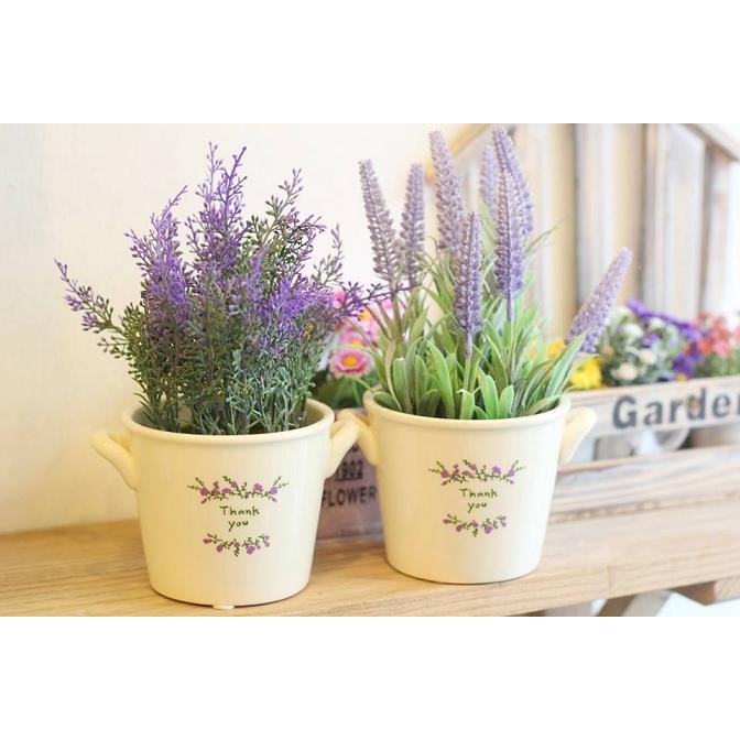 Hạt Giống Hoa Oải Hương ( Lavender 100 hạt)