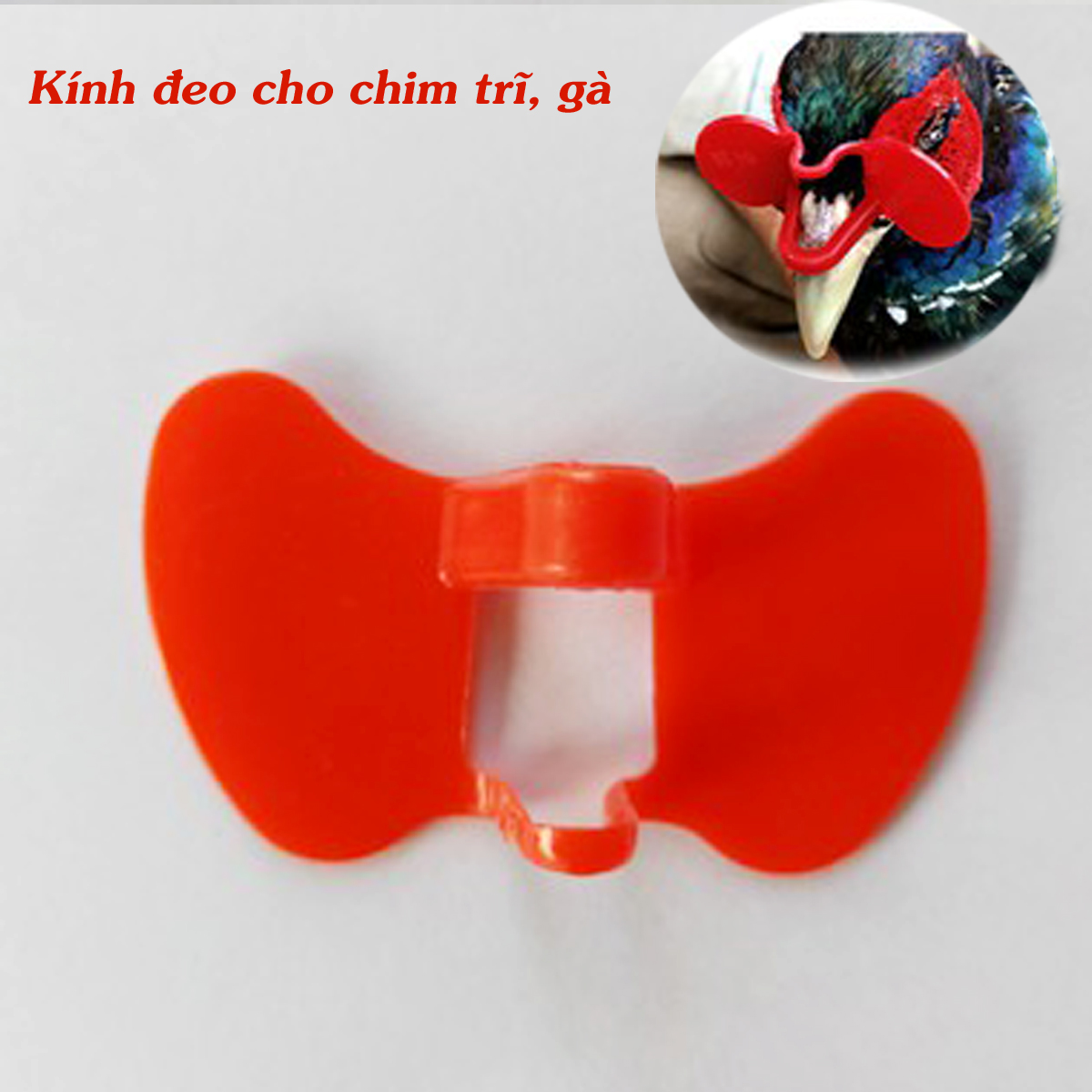 Com bo 50 kính đeo cho gà, chim trĩ