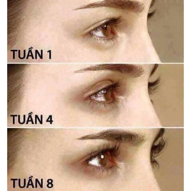 Tinh dầu dài mi